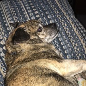 Meet your Posher, Georgia